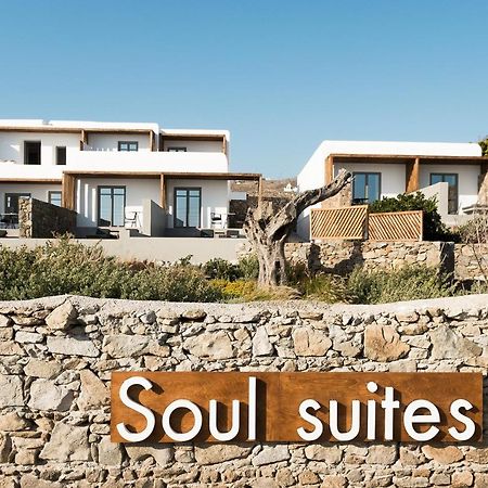 Mykonos Soul Luxury Suites (Adults Only) 圣斯特凡诺斯 外观 照片